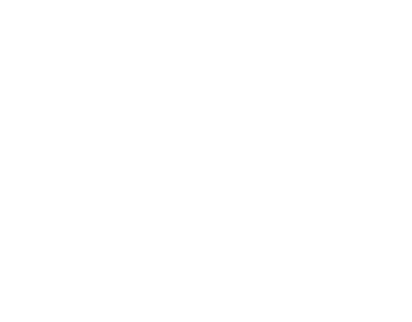 Logo BCC Global